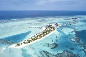 dhaaly atoll s otzivami i cenami